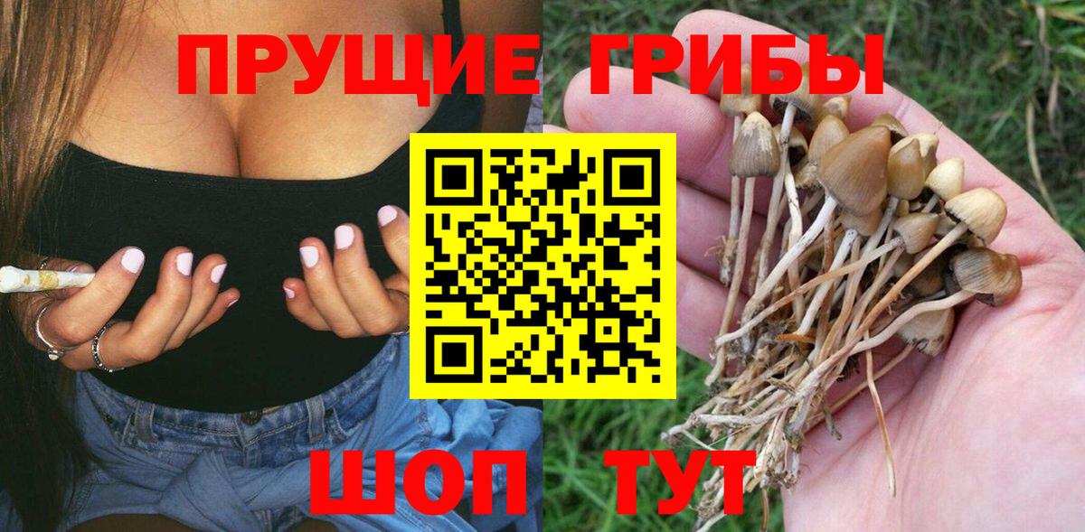 Галлюциногенные грибы мицелий Качканар