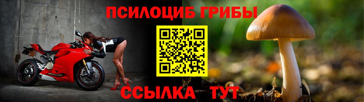 Псилоцибиновые грибы прущие грибы  Псилоцибиновые грибы мухоморы  Вход с VPN  Качканар 